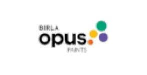Birla Opus brand