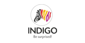 indigo brand