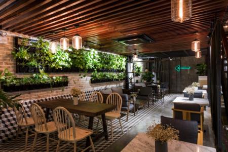 Mastering Vertical Gardens: An Advanced Guide by ColourDrive - ColourDrive Blog