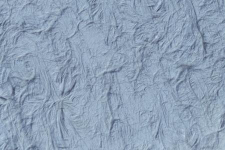 Top House Wallpaper Categories Trending in 2025 - ColourDrive Blog