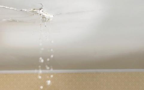 Diving into Water Leakage Woes: Understanding Different Types of Problems - ColourDrive Blog