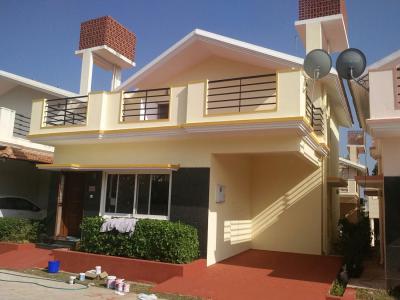 Comparing Asian Paints Exterior: Ace, Apex, Ultima, Protek - ColourDrive Blog