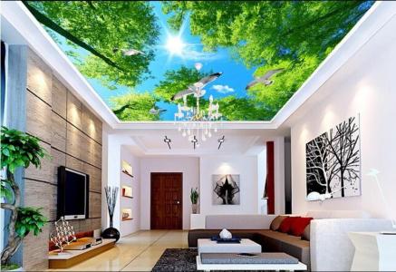 Ceiling 3D Wallpaper Ideas: Elevate Your Space - ColourDrive Blog
