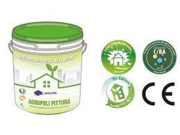 Water-Based Paints: Eco-Friendly Options for Vibrant Results - ColourDrive Blog