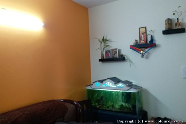 Interior Painting, and Home Painting Recent Project at Marathahalli Bangalore