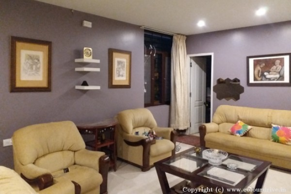 Interior Painting, and Home Painting Recent Project at Kundanhalli, Whitefield Bangalore