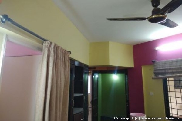 Rental Painting, and Home Painting Recent Project at Hongasandra, Bommanahalli Bangalore