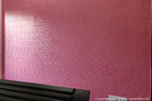 Interior Painting, Texture Painting, and Home Painting Recent Project at Bannerghatta Road Bangalore