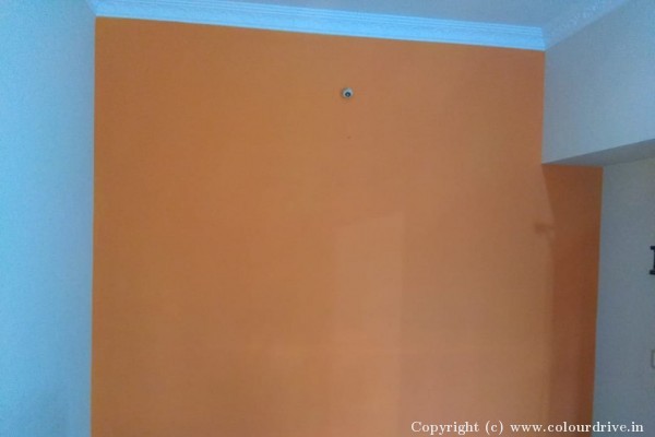 Rental Painting, and Home Painting Recent Project at Kengeri Bangalore