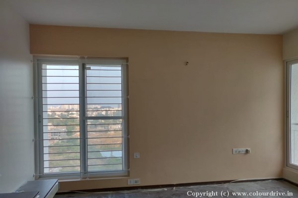 Interior Painting, and Home Painting Recent Project at Bommanahalli Bangalore