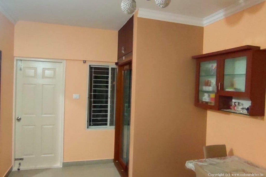 Best White Paint For Interior Walls Light Colour Wall Paint Interior Painting for Dining Room
