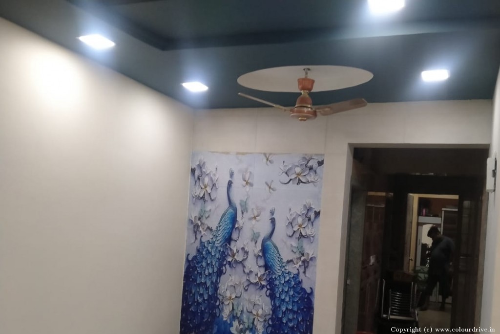 Living Room Wallpaper Design For Home Peacock Wallpaper for Foyer Area