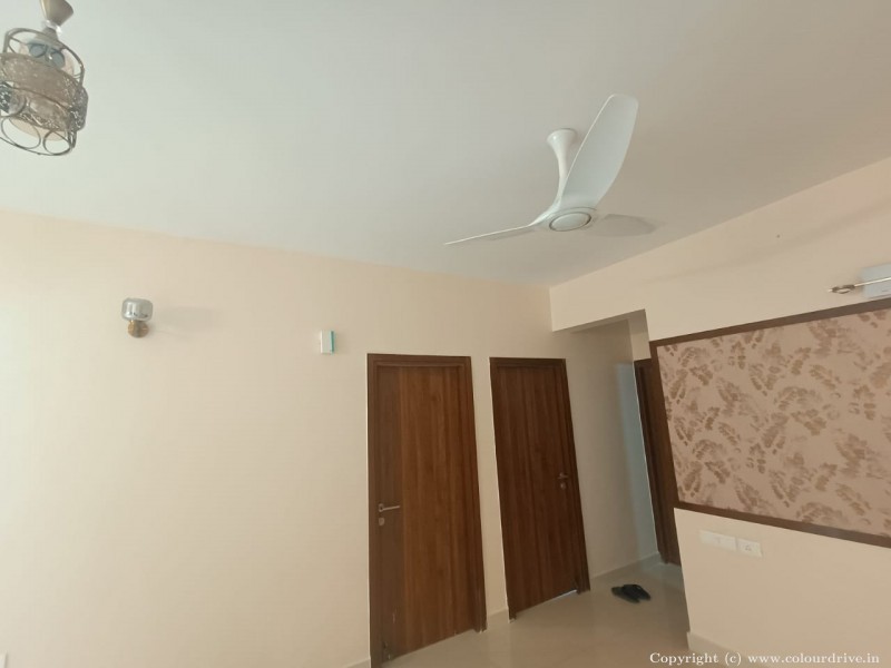 Wall Paint Colour Indian Home Interior Painting Ideas Rental Painting for Living Room