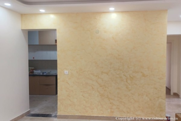 Texture Painting, and Home Painting Recent Project at Bellandur Bangalore
