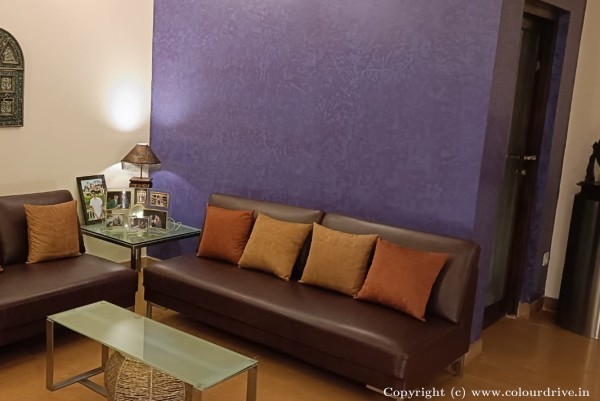 Enamel Painting, Exterior Painting, Interior Painting, Texture Painting, and Home Painting Recent Project at Jayanagar Bangalore